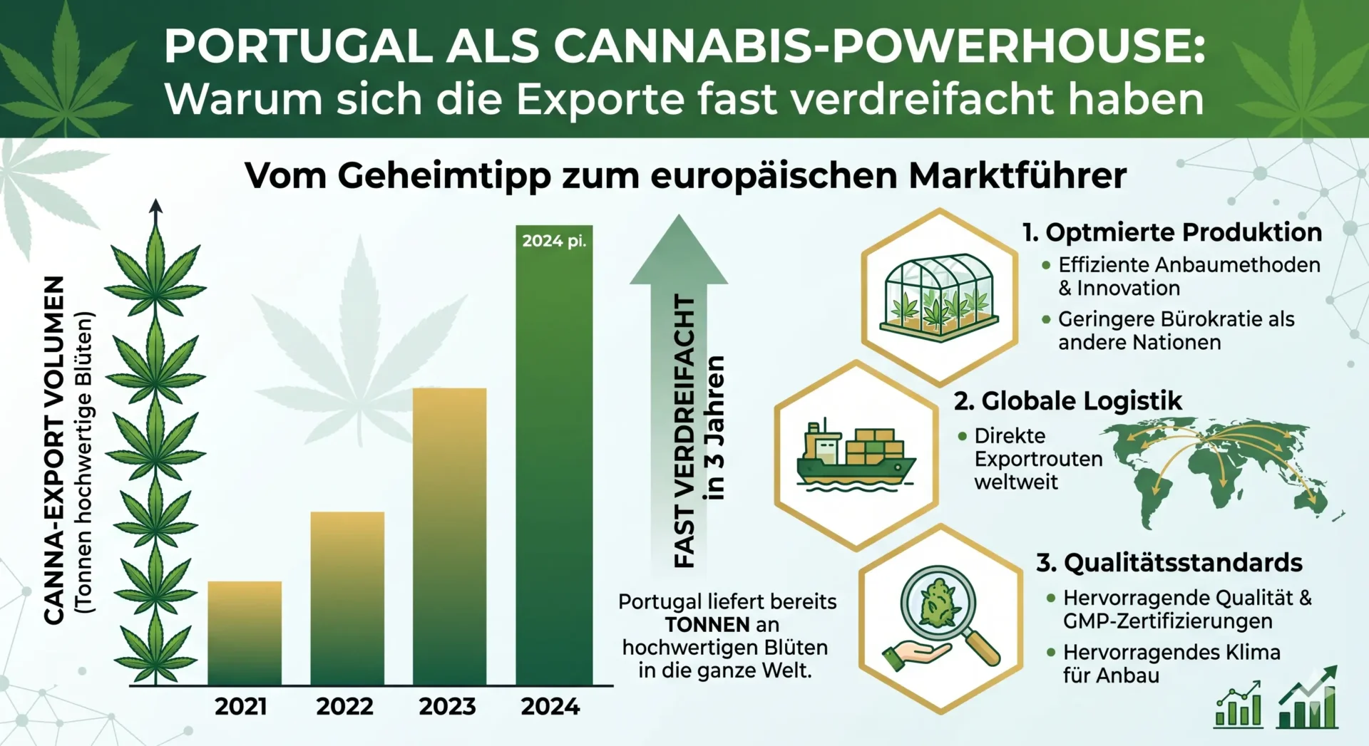 Portugals Cannabis-Boom – Ein Blick in die Zukunft.