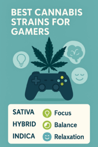 ChatGPT Image Oct 22 2025 05 19 41 PM