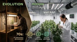 Moderner Indoor Cannabisanbau mit LED-Beleuchtung und professionellem Equipment.