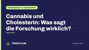 Titelbild: Cannabis und Cholesterin: Was sagt die Forschung wirklich?