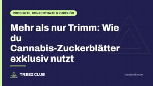 Titelbild: Mehr als nur Trimm: Wie du Cannabis-Zuckerblätter exklusiv nutzt
