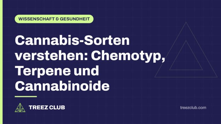 Titelbild: Cannabis-Sorten verstehen: Chemotyp, Terpene und Cannabinoide