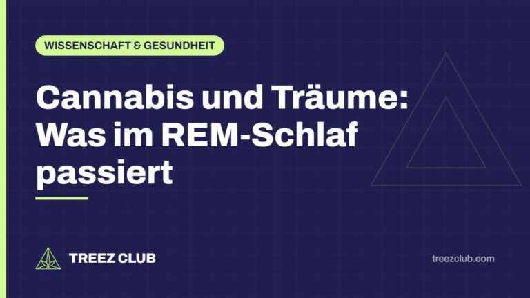 Titelbild: Cannabis und Träume: Was im REM-Schlaf passiert