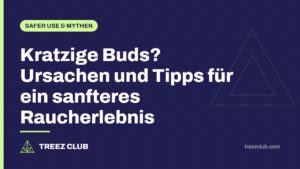 Titelbild: Kratzige Buds? Ursachen und Tipps für ein sanfteres Raucherlebnis