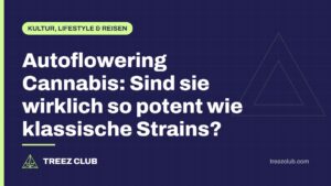 Titelbild: Autoflowering Cannabis: Sind sie wirklich so potent wie klassische Strains?