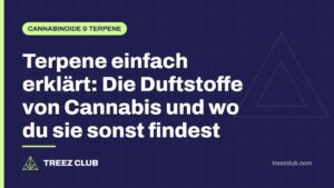 Titelbild: Terpene einfach erklärt: Die Duftstoffe von Cannabis und wo du sie sonst findest