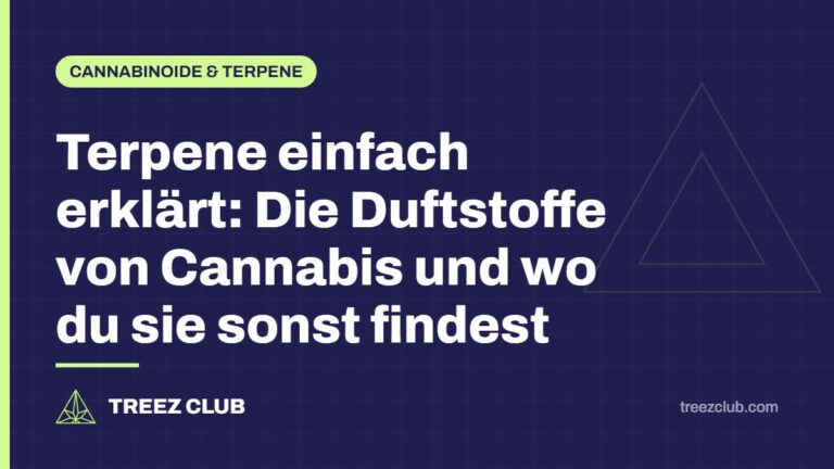 Titelbild: Terpene einfach erklärt: Die Duftstoffe von Cannabis und wo du sie sonst findest