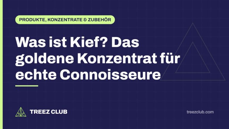 Titelbild: Was ist Kief? Das goldene Konzentrat für echte Connoisseure