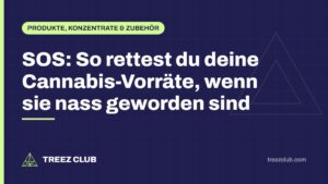 Titelbild: SOS: So rettest du deine Cannabis-Vorräte, wenn sie nass geworden sind