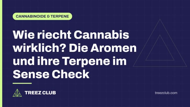 Titelbild: Wie riecht Cannabis wirklich? Die Aromen und ihre Terpene im Sense Check